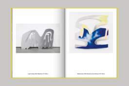 Katalog: Carolin Israel Toolkit