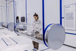 Ausstellung »Sneaker«, Wandgrafik, Wandtexte, NRW-FORUM Düsseldorf, 2024