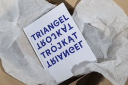 Triangle Katalog, Polnisches Institut Düsseldorf